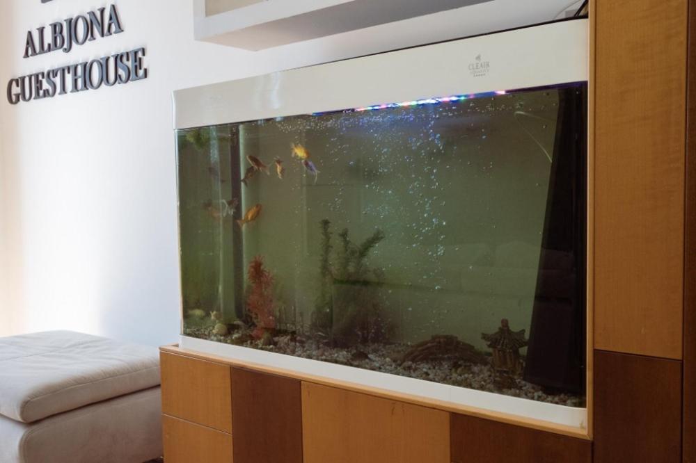 Albjona Guesthouse Tirana Kültér fotó